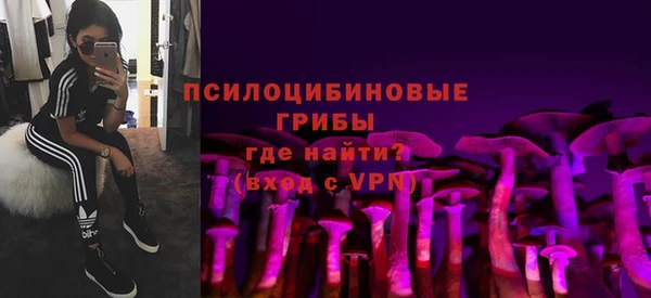 гидра Алексин