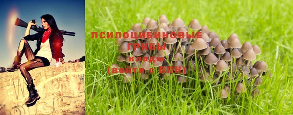 прущая мука Алзамай